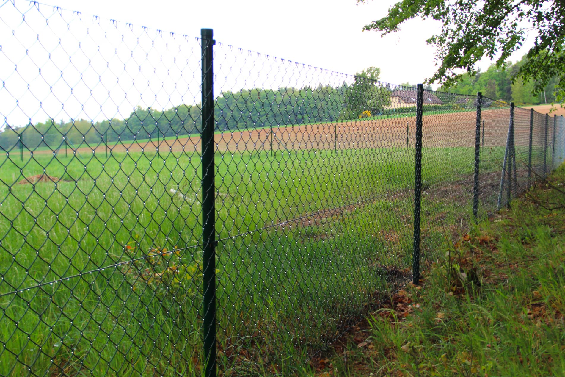 pletivo bez napínacího drátu zelené